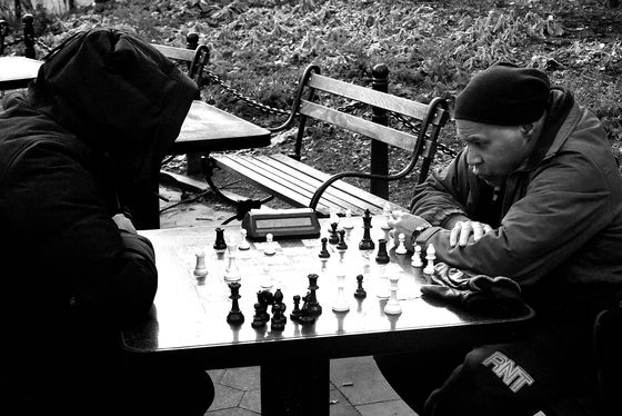 NY Chess players